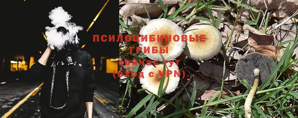 дмт Балахна