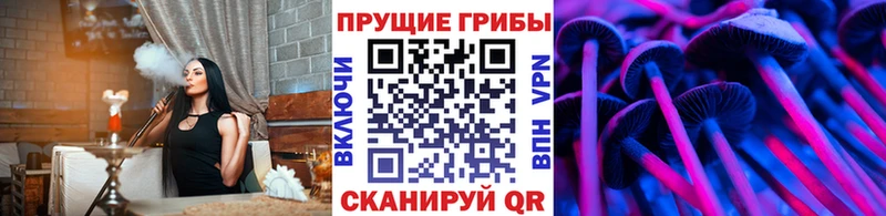 Псилоцибиновые грибы прущие грибы  Шебекино 