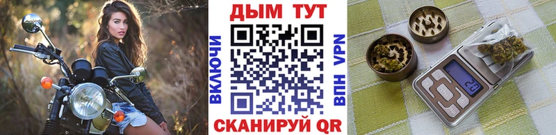 mega tor  цены   Шебекино  Бошки марихуана Bruce Banner 